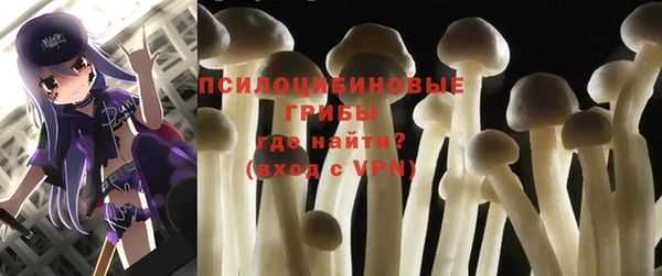 кокс Нея